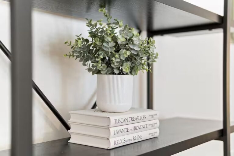 imgi_49_820207a6-528a-4f7b-b1c8-c8b506ca560d